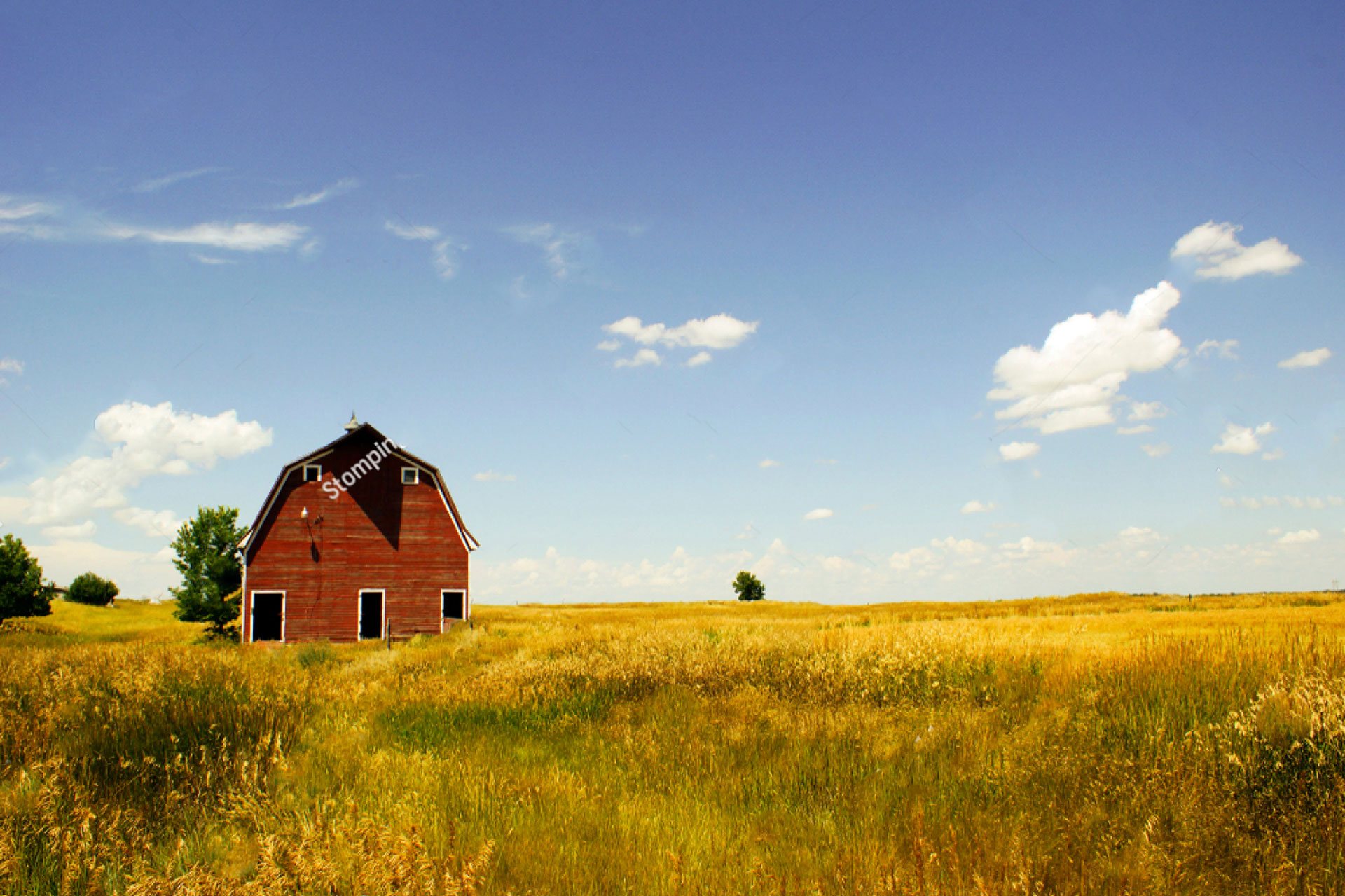 You are currently viewing How Power of Attorney Can Help Unravel an Estate Mess